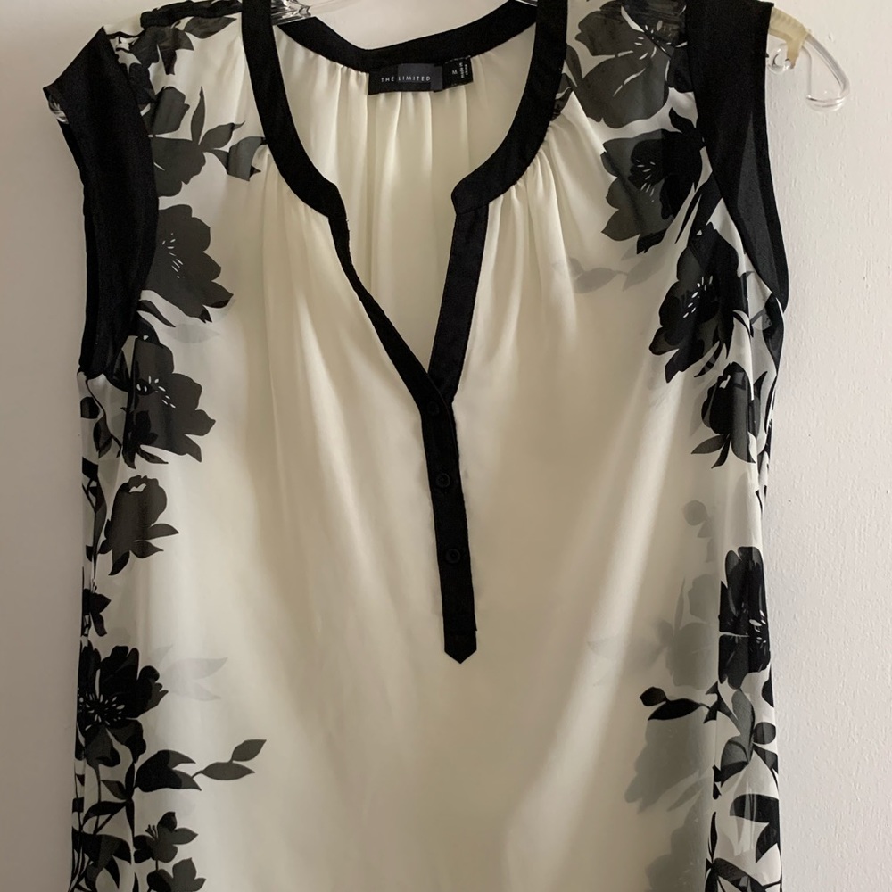 The Limited Size Medium Sheer Blouse